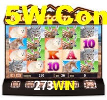 273WIN,273win.com